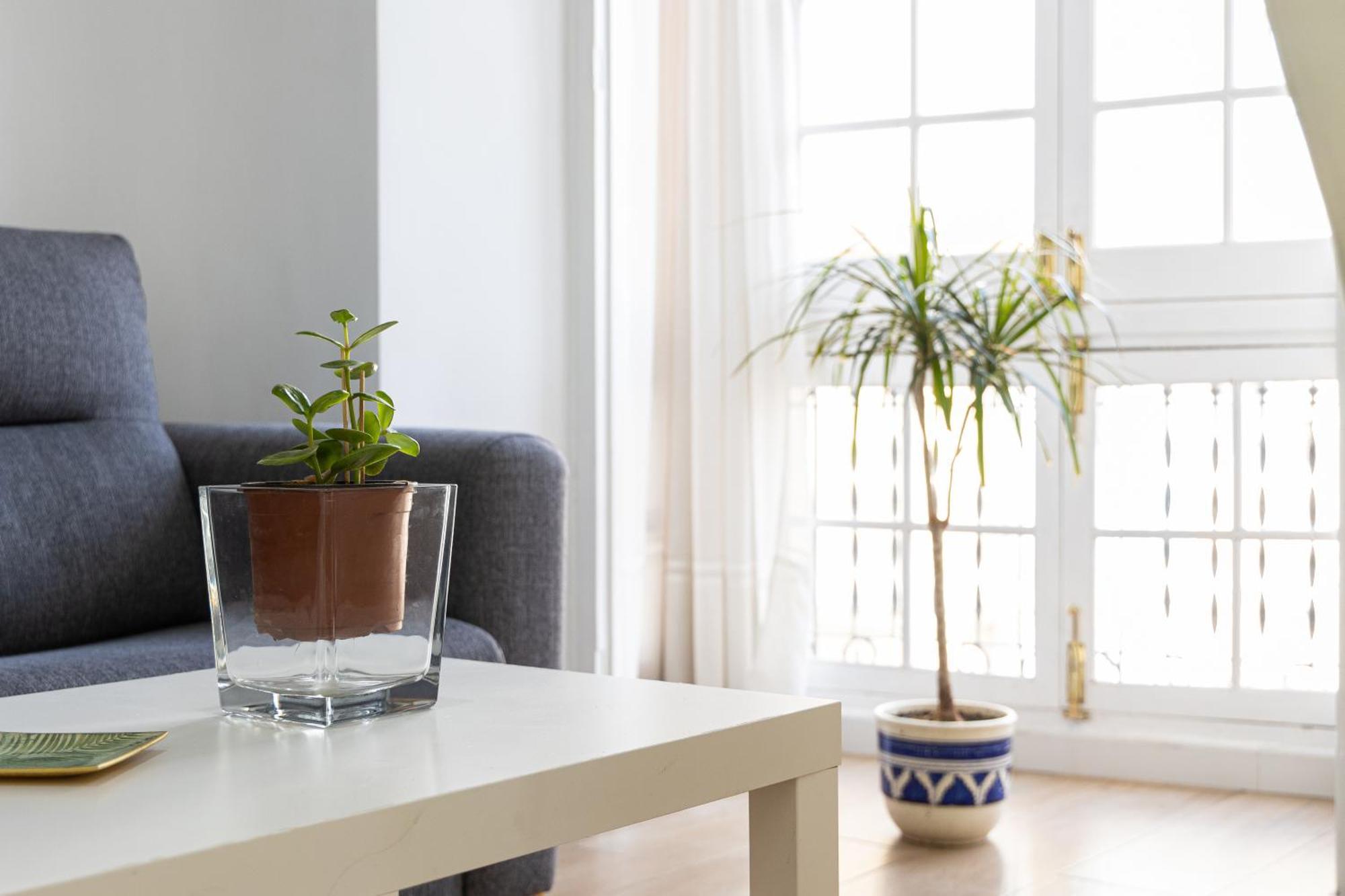 Apartamento Jacaranda مالقة المظهر الخارجي الصورة
